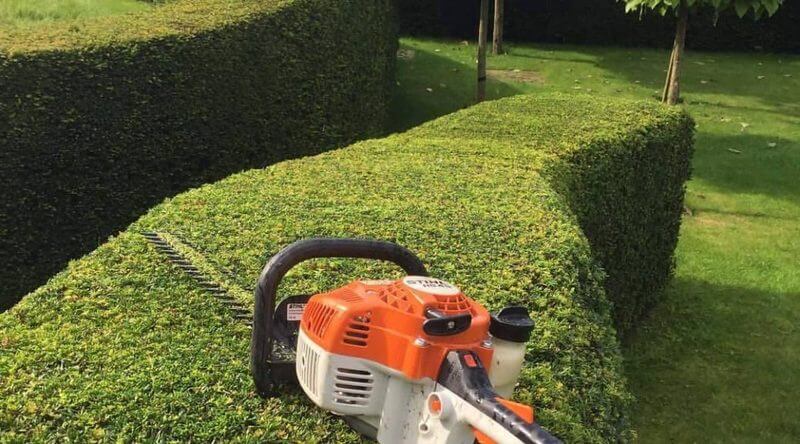 Hedge Trimming Lilyfield