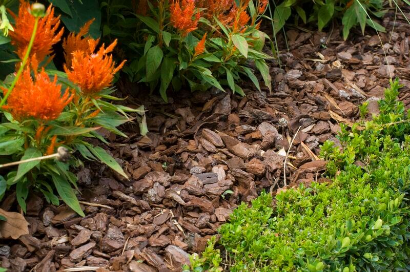 Mulching Services In Abbotsford