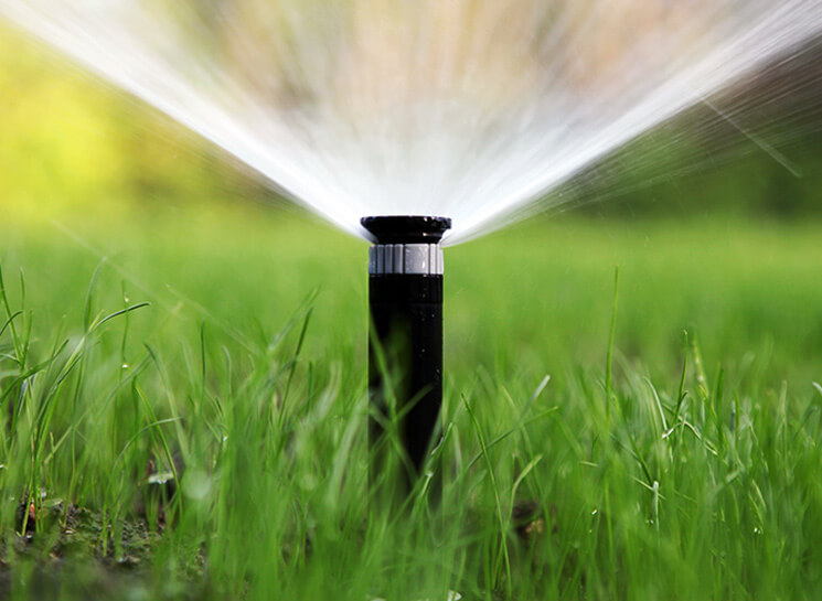 Homebush Watering Systems