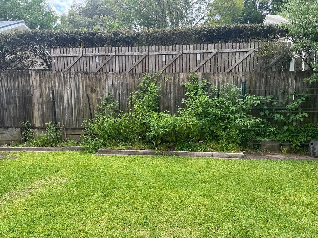 The garden strip before the new bed was built