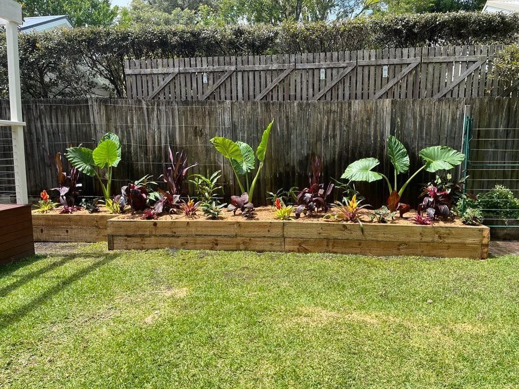 A raised timber sleeper garden bed with tropical plants