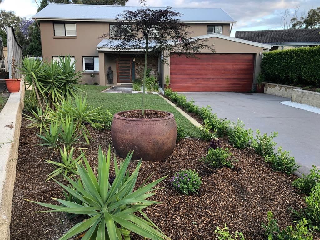 A front garden with a large feature pot, new plants and fresh mulch
