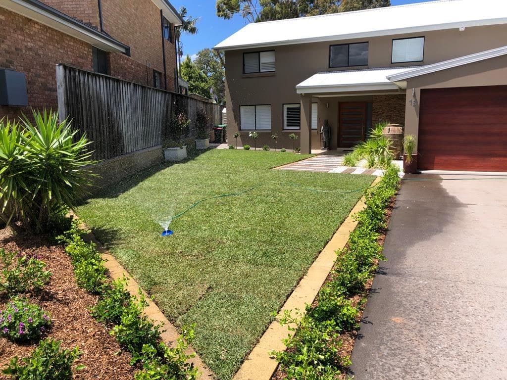 New lawn bordered by planting in a front garden