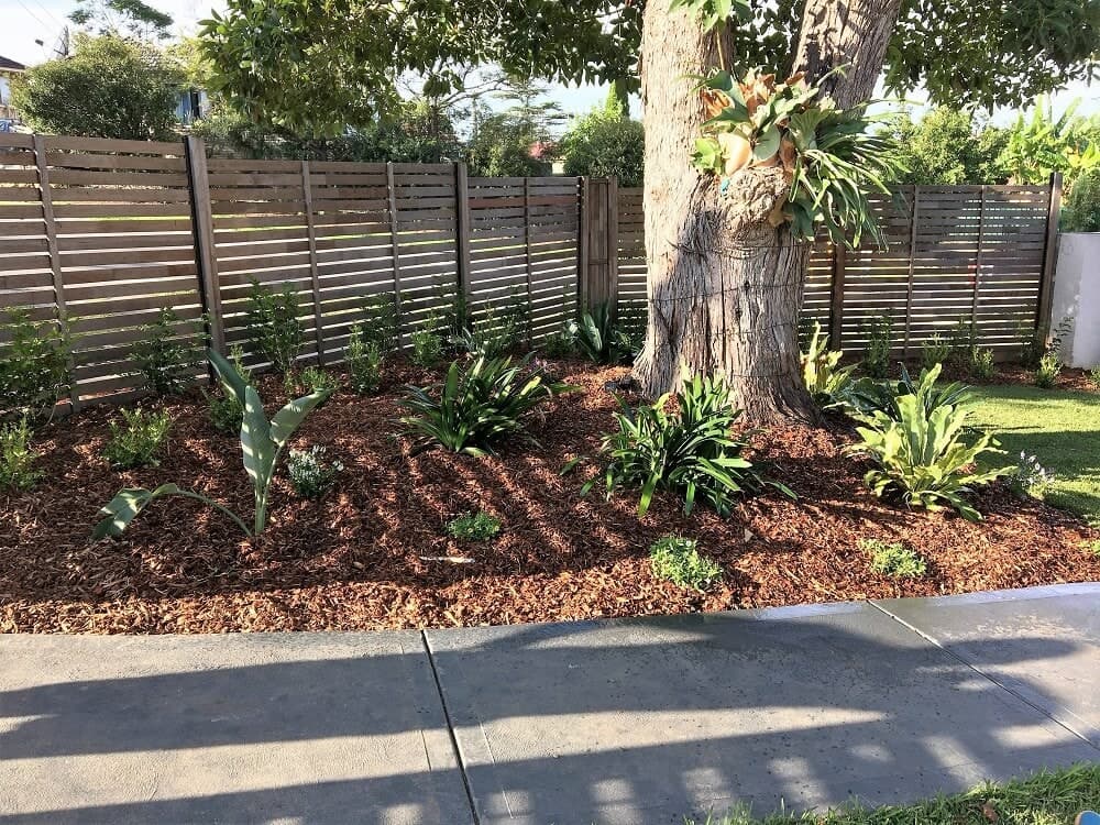 Fresh mulch and planting around an established tree