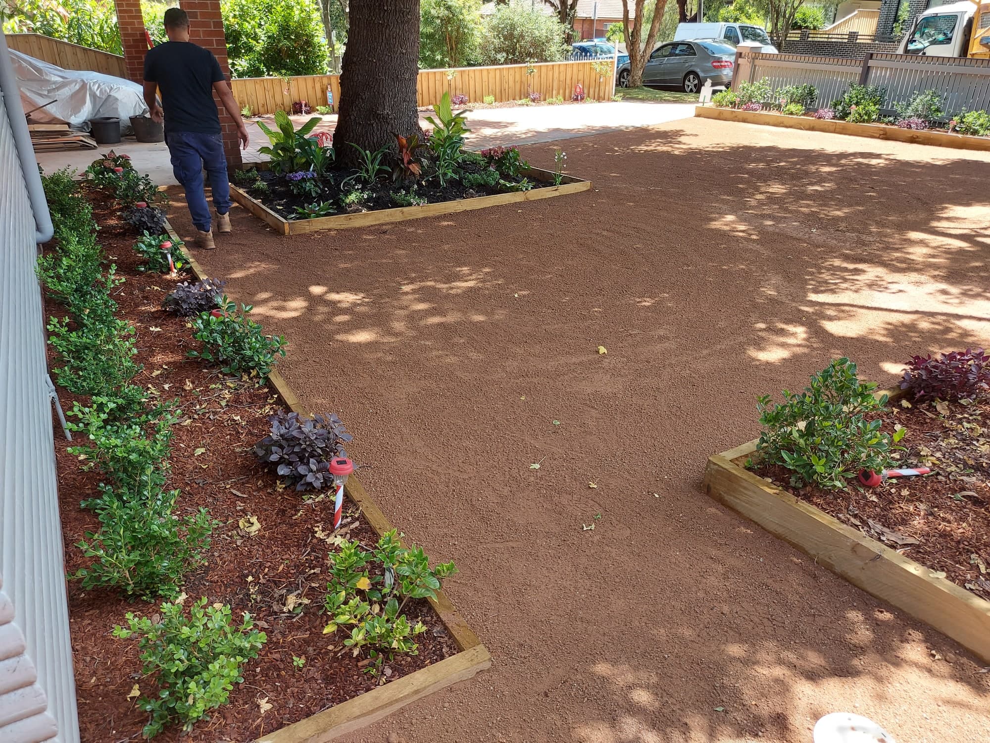 New garden beds along a cleared front yard with timber edging