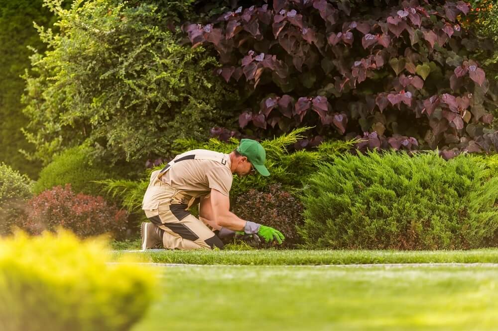 Gardening Cost Sydney