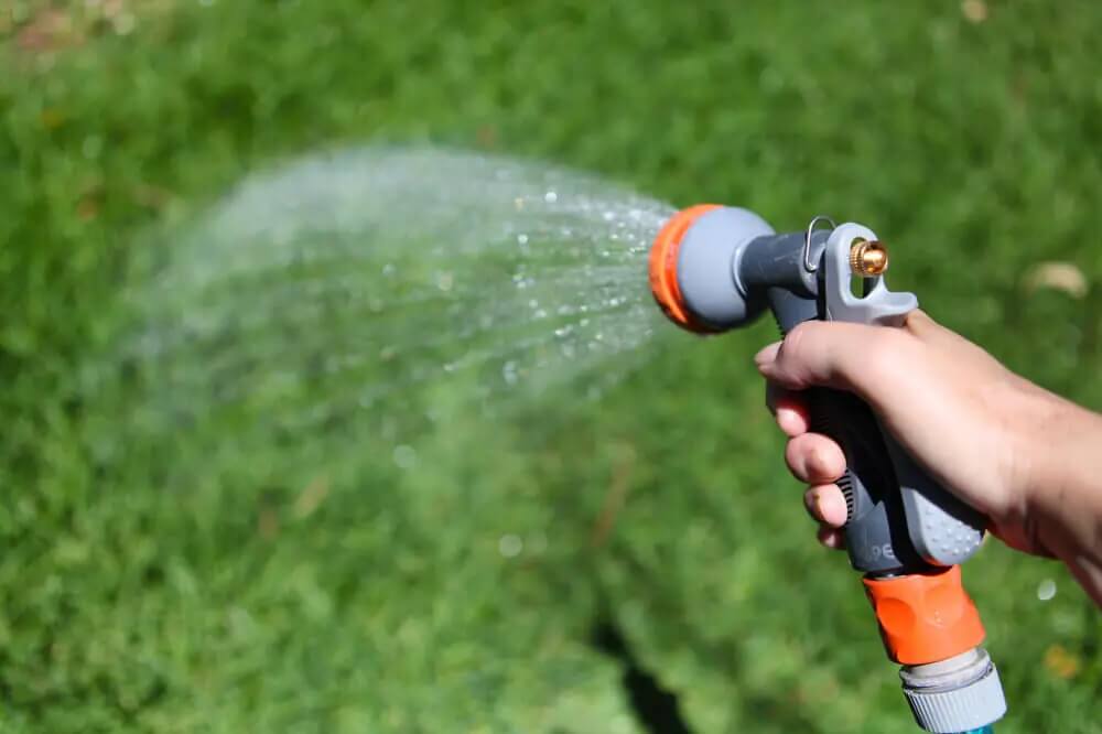 Watering New Turf in Sydney