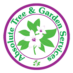 Absolute Tree & Garden Services Logo