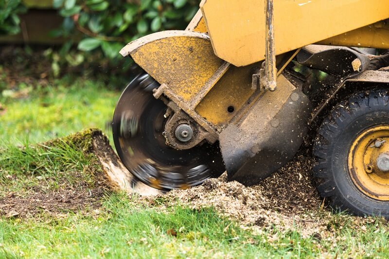 Professional stump grinding services in Thornleigh, Sydney