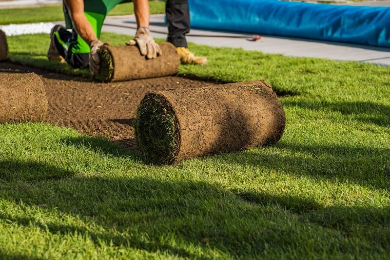 Turfing Services Sydney