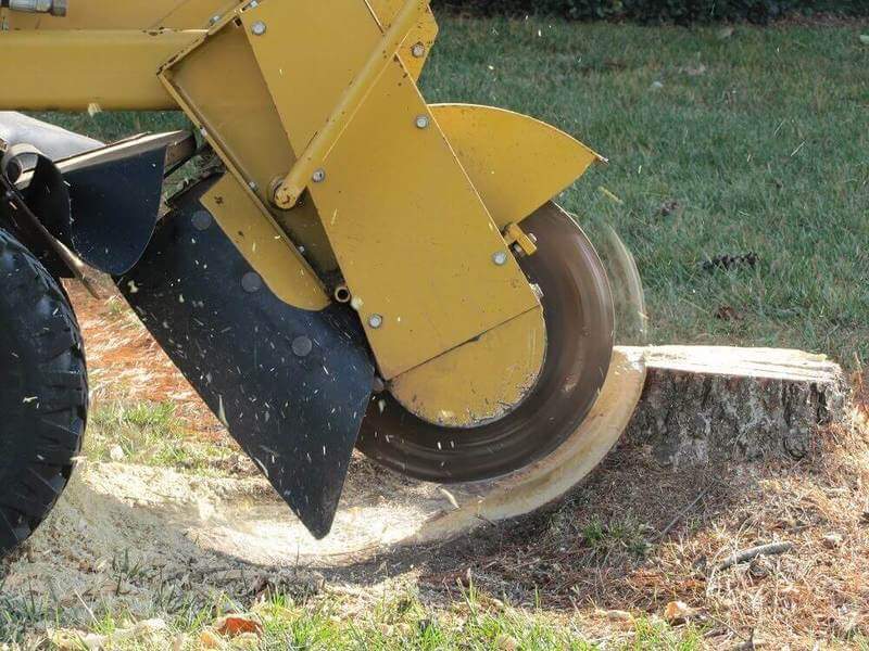 Stump Grinding Services In Sydney